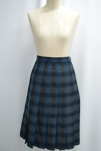  �Z��ʌ��� ���Ԍ��z�����w�Z �~�X�J�[�g ����6189