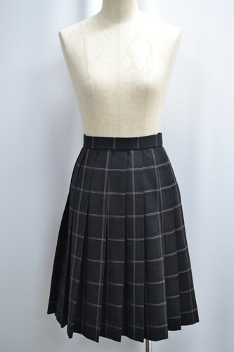  �Z��ʌ� ���]�w�����w �����w�Z �~�X�J�[�g ����6191