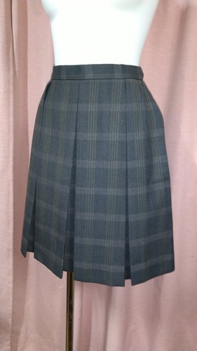 �_�ސ쌧 No.133  ���{��w�@�����w�Z �`�F�b�N�~�j�X�J�[�g �~����