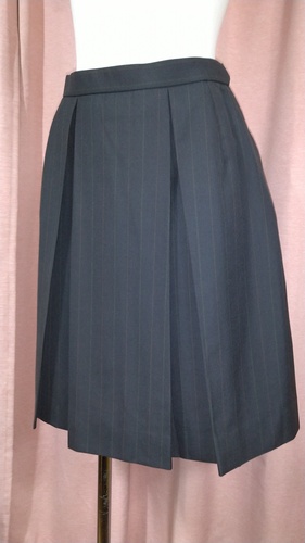 �_�ސ쌧 No.134 �傫��size ���{��w�@�����w�Z �`�F�b�N�~�j�X�J�[�g �ĕ���