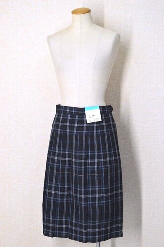  �����g�p�i ��ʌ��� ���򏤋ƍ����w�Z �ăX�J�[�g��T6009