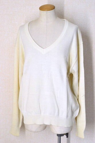  �������s ���H���q�w�������w�Z �ĕ� �Z�[�^�[��T5993