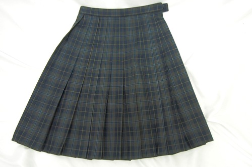  7282k �����s �����旧 �a�c���w �~�� �v���[�c�X�J�[�g �T�C�YW63 ���q����