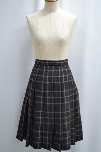  �Z��size ��t���� ���R���������̐X�����w�Z �ăX�J�[�g ����6197