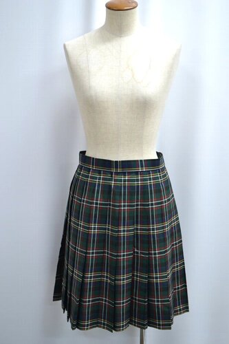  �Z��ʌ� �Ջ���ʒ��w�Z �~�X�J�[�g ����6199