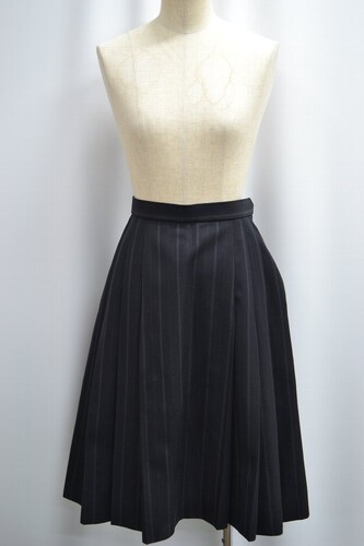  �Z��ʌ��� �v�썂���w�Z �~�X�J�[�g ����6202