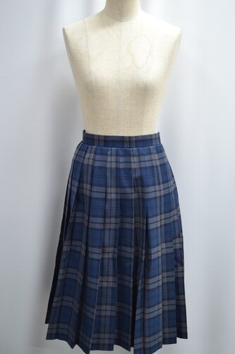  �Z��size ��ʌ� ���Ԏs�� ���򒆊w�Z �~�X�J�[�g ����6203