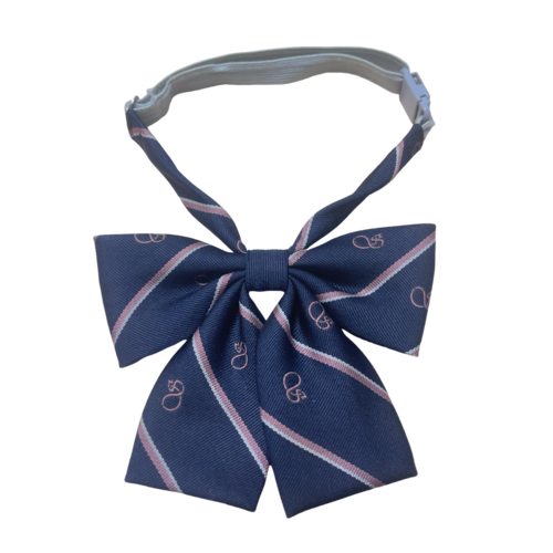 �����s �����s�����c�썂���w�Z�@���{���^�C�@�V�i