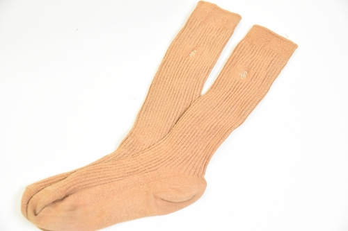 �Ȗ،� ������V�w�@���Z �y���s�@�C�� ���F�z/3807SE