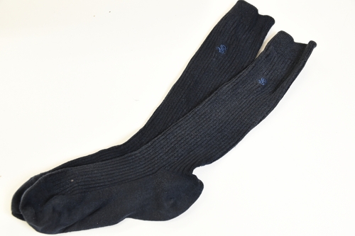 �Ȗ،� ������V�w�@���Z �y���s�@�C�� ���F�z/3807SE