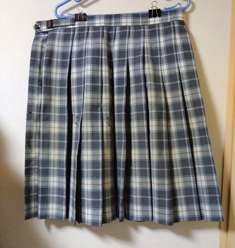  ��t���@�����w�ىY���ăX�J�[�g