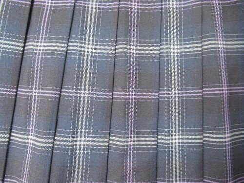 [�s��] 9434�@490�@����T�C�Y�I�~�X�J�[�g SCHOOLTIGER�� ���{���{�O���[�`�F�b�N��