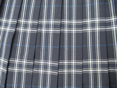 [�s��] 9444�@400�@�ăX�J�[�g ���{���{�� �`�F�b�N��