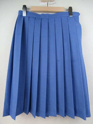 [�s��] 9453�@430�@�傫�ȃT�C�Y�I�Ē݃X�J�[�g ���F�n