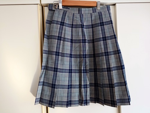 �{�錧 ���s ��䏗�q���ƍ��Z �i���F��䏤�ƍ��Z�j ���f�U�C�� �ėp�X�J�[�g