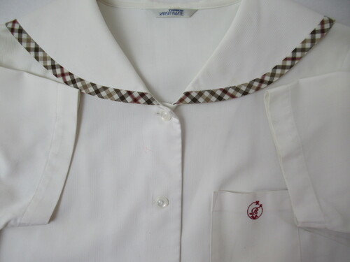 ���ꌧ 9515�@170�@���J���Z �ăZ�[���[�㒅 �O�{�^��