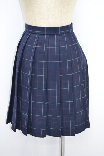  �Z�����s �g�ˏ��q���w�Z�E�����w�Z �ăX�J�[�g ����5126