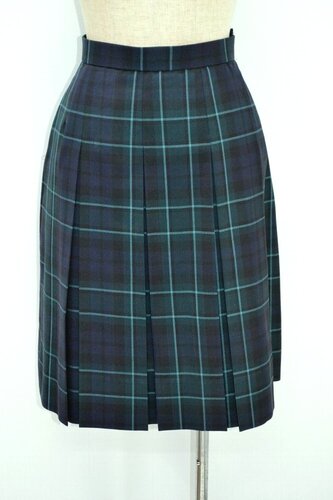  �Z��ʌ� �R�����ۍ����w�Z �ăX�J�[�g ����5127