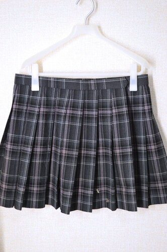  ����size W84 �����s�� �x�m�X�����w�Z �ăX�J�[�g��T6042