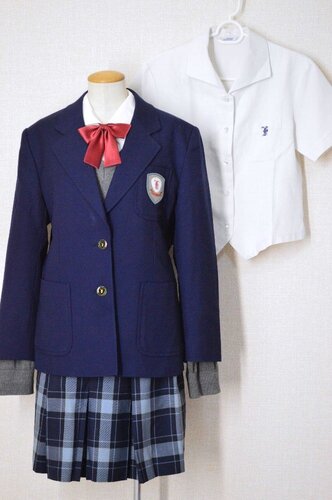  �������s �x�m�������w�Z �u���U�[�~�ĕ� ���n�t�� �i�J�m��T6023