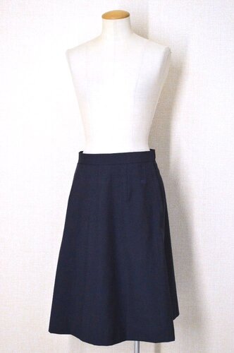  ����ʌ��� �n�����w�Z �m���v���[�c���ăX�J�[�g ���n�t����T6025