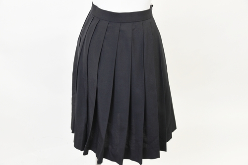 ���ꌧ ��������c���ꒆ�w�y���s���� �ăX�J�[�g�@�z/D283