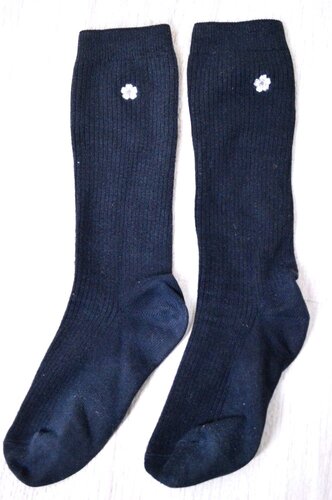  �������s �Ռ��w�����w�Z�E�����w�Z ���n�C�\�b�N�X��T6019