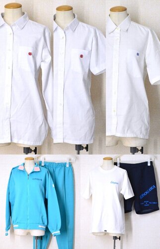  �������s �]�ː쏗�q���w�Z�E�����w�Z �u���E�X3�� �W���[�W�̑��� ���^�C�v��T6032