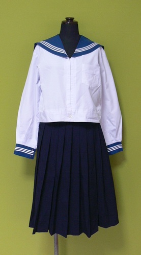 �ޗǌ� �p�|�P�@�V�����w�Z�@����