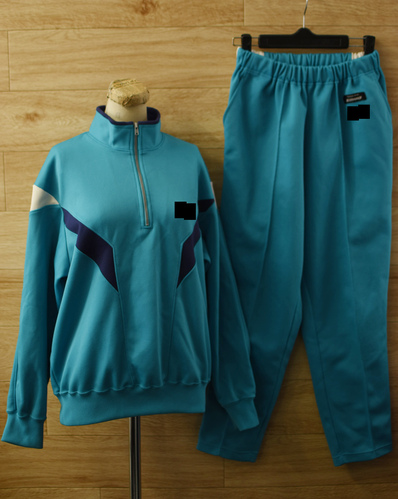  c�������s������a�����w�Z �w�� ���q�W���[�W�㉺���̑���/�̈璅�㉺����