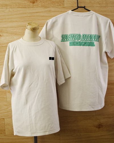  c2����ʌ��������썂���w�Z �w�菗�q�̑���/�̈璅�������Z�b�g����L