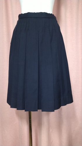 [�s��] No.139  �q�_���A�X�J�[�g  �s���ĕ���