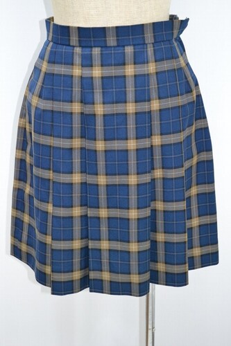  ���_�ސ쌧�� ���R�����w�Z �~�X�J�[�g ��NA0710