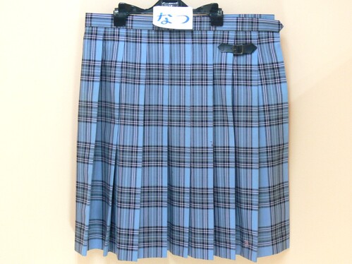 [�s��] �r57��������T�C�Y�I���C�g�u���[�`�F�b�N���@���F�i�q���@�v���[�c�X�J�[�g