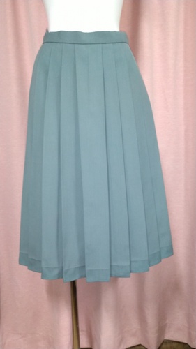 [�s��] No.139  �傫��size 23�O�L�X�J�[�g �s���ĕ���