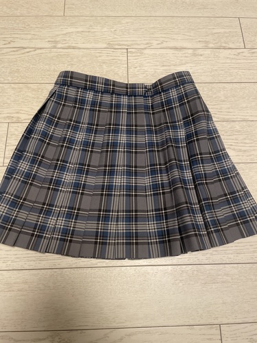 �_�ސ쌧 �Ó�w�@�����w�Z ���� �X�J�[�g �T�C�Y66�~42