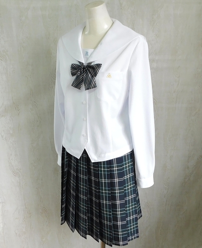  ���������� �ËȊw�����������Z �Đ�����