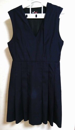  �傫�� w80 �����s �Ռ��w�����w�Z�E�����w�Z �i�|���� �ăW�����X�J ����