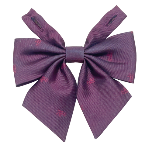 ��ʌ� �R�����ۍ����w�Z�@�����@���C�����b�h�J���[�@���{��