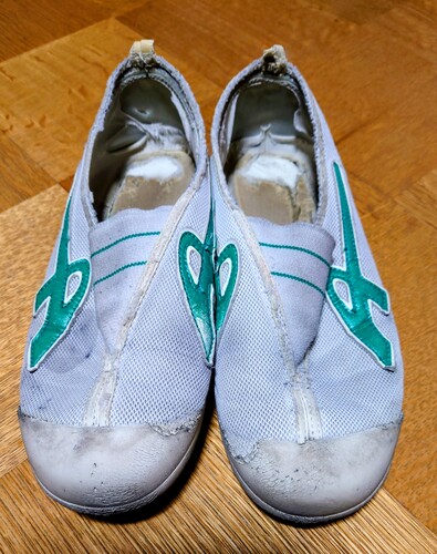 ��茧 �㗚���ƃ��[�t�@�[