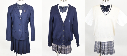 �_�ސ쌧 �������͏��q��w������ �y���s���� �Z�b�g�z/3813SE