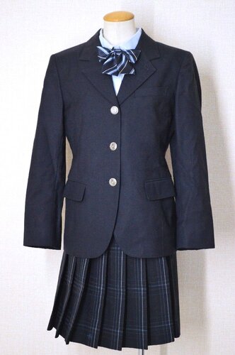  �������s�� �v���Đ������w�Z �u���U�[�~�� ���{����T6053