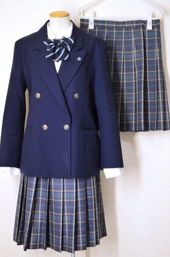  �������s�� ������k�����w�Z �u���U�[�~�ĕ� ���{�� �Z�́�T6054