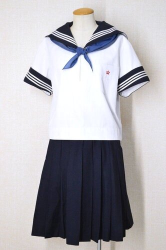  ���_�ސ쌧 �_�ސ�w�����w�Z 3���C���Z�[���[�ĕ� �X�J�[�t��T6055