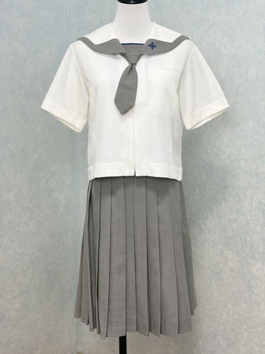 �_�ސ쌧 ���{��w���w�Z 3�_  �Z�[���[��