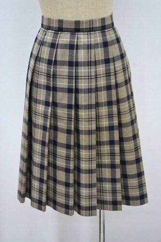  ����ʌ��� ��z�썂���w�Z �ăX�J�[�g ��NA0717