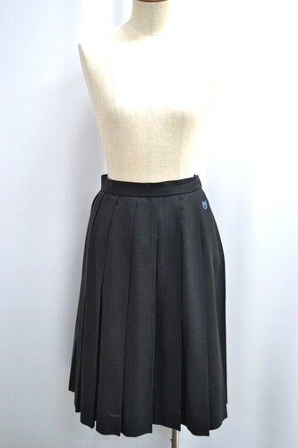  �Z��ʌ��� �����������w�Z �~�X�J�[�g ����6220