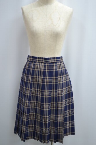  �Z��ʌ� �R���w�������w�Z ������ �ăX�J�[�g ����6224