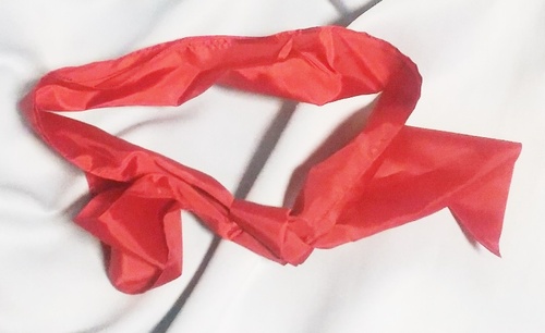  �s���@�X�J�[�t�@�p�[�^�C�@�G���W�F