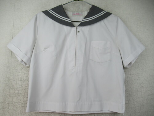 ���ꌧ 9670�@210�@�傫�ȃT�C�Y�I�v�Ċْ��w �ăZ�[���[�㒅 �O���[��